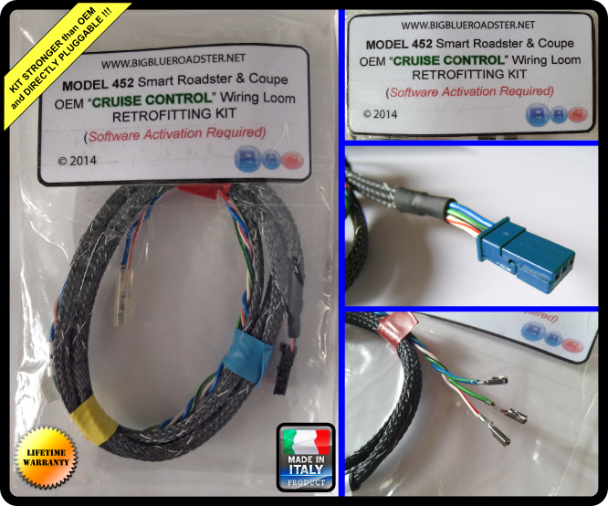 Smart Roadster CRUISE CONTROL PLUGGABLE WIRING KIT - BigBlueRoadster.net