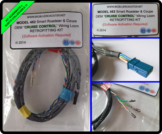 Smart Roadster CRUISE CONTROL PLUGGABLE WIRING KIT - BigBlueRoadster.net